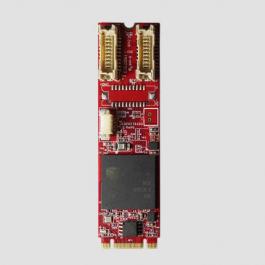 Innodisk EGPV-1101 M.2 to Single HDMI or DVI-D Module convert Module